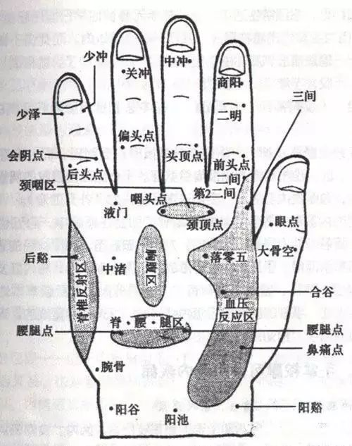 最詳細最專業的手掌穴位圖與保健手法