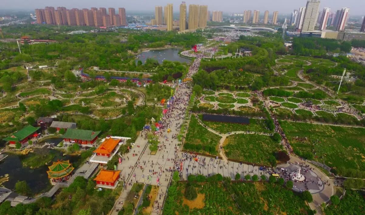 为了看牡丹,今天全菏泽都"疯了(航拍27万人齐聚牡丹园)