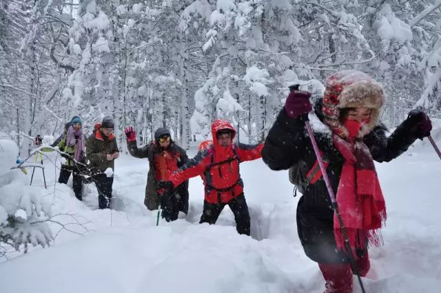 七日 | 霍爾濱、雪谷、雪鄉穿越、老里克湖、長白山霧凇島 新聞 第26張