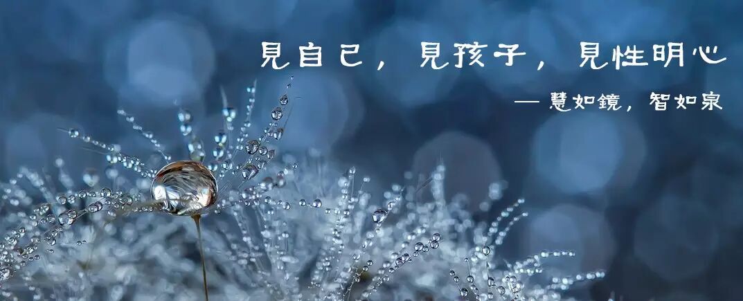 这些常见花草,你和娃认得多少?