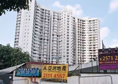 身陷整容包养丑闻，被赵薇“横刀夺爱”想自杀，带半亿闪嫁副董五年生三子！（组图） - 11