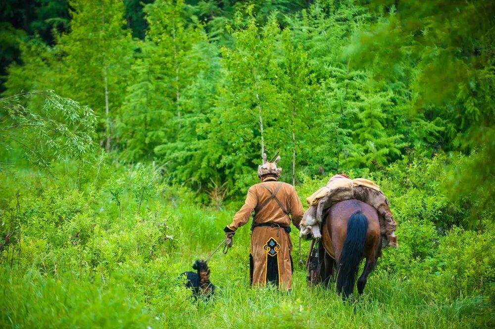 七月的兴安岭,一个狩猎民族的世外桃园