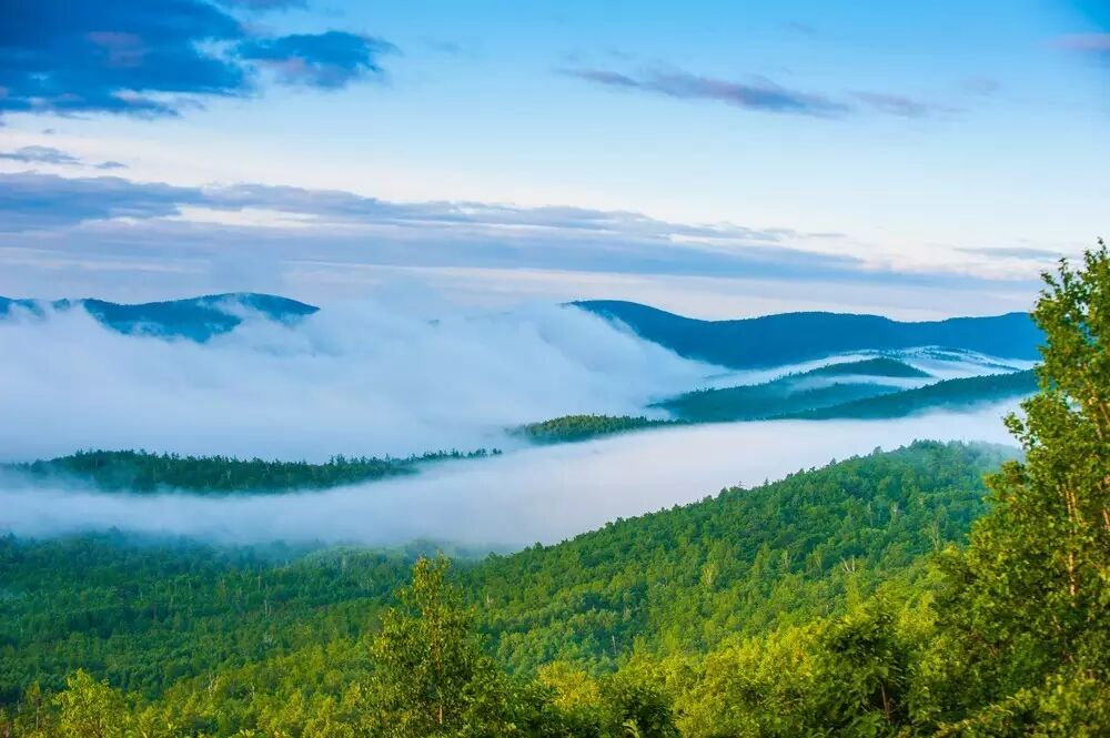 七月的兴安岭,一个狩猎民族的世外桃园