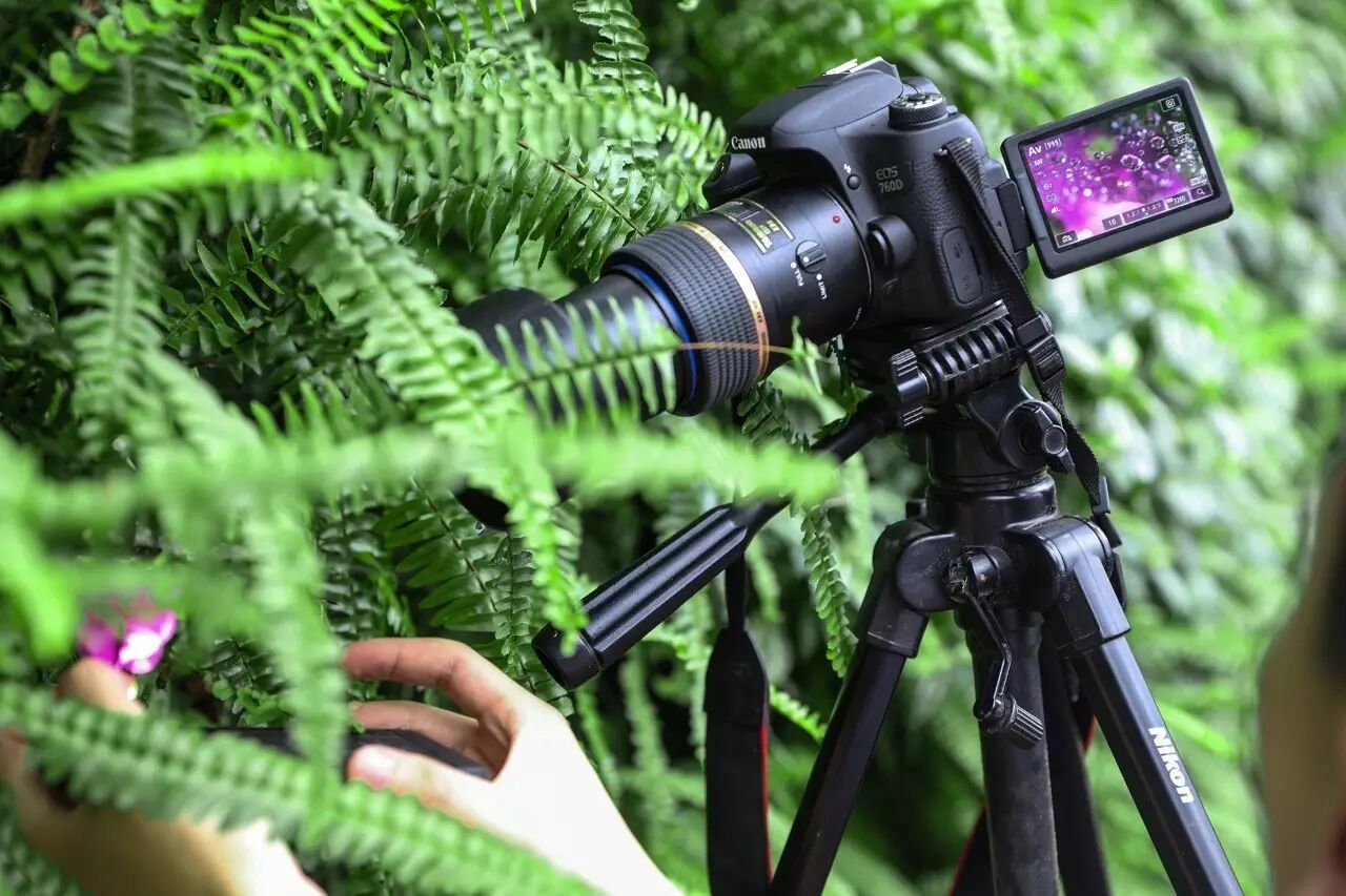 我们把镜头推远,你发现什么这双手在做什么?