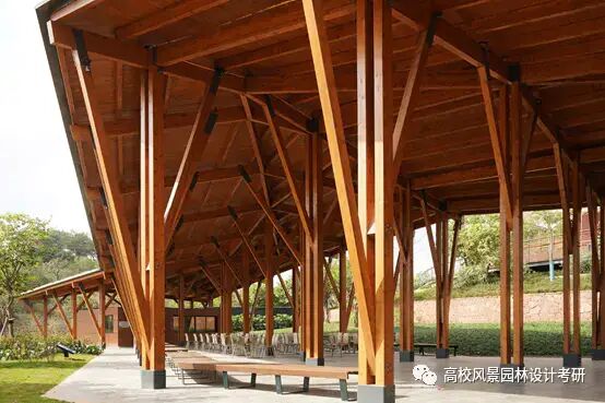 大师与矿山修复!的图91