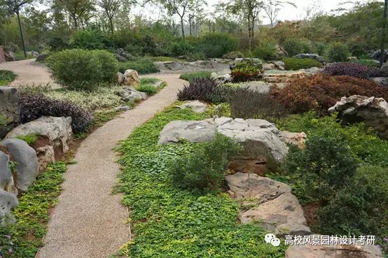 大师与矿山修复!的图70