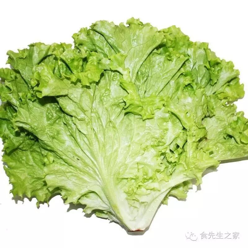 《菜品推荐》抢先预定6月28日农场出棚新菜