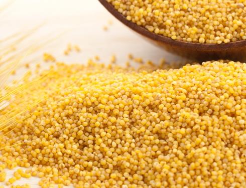 小米又称粱米,粟米,粟谷.