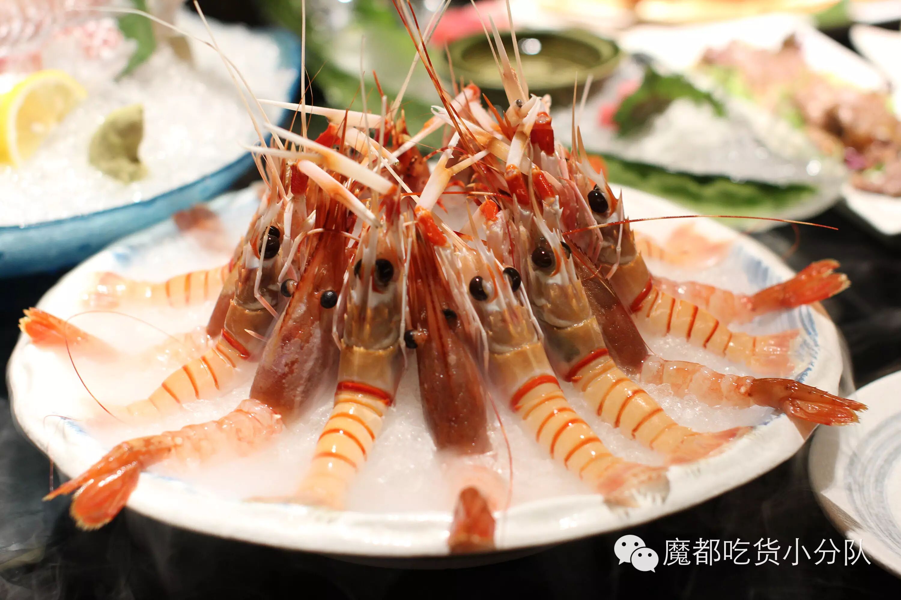 虾刺身拼盘 镇店之宝第三弹
