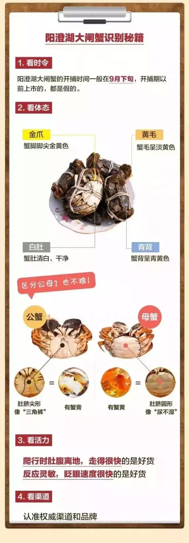 阳澄湖大闸蟹在路上了但是你吃的蟹是真的吗