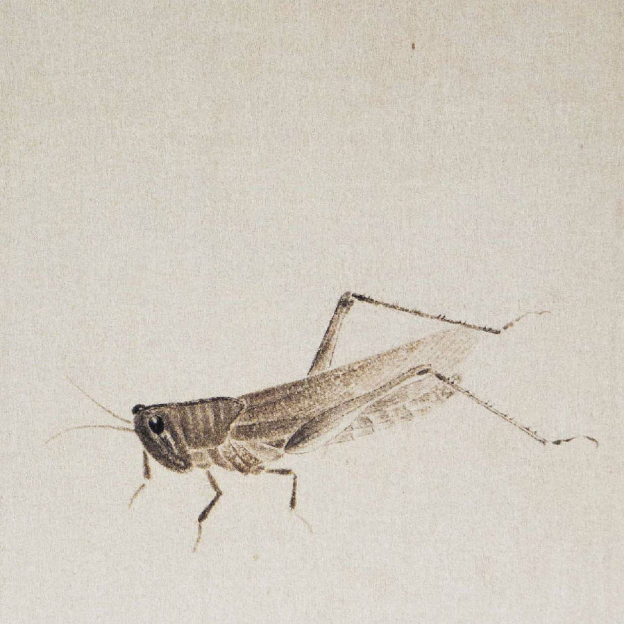 齐白石笔下的虫