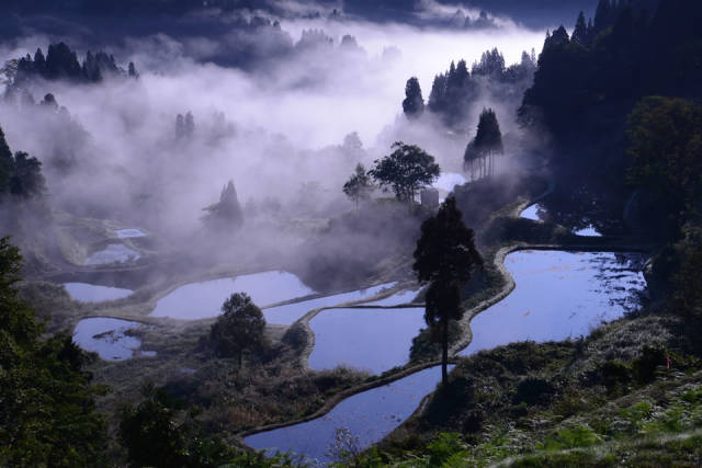 新潟縣，除了世上最好的稻米，還有絕美的藝術風光～ 旅行 第4張