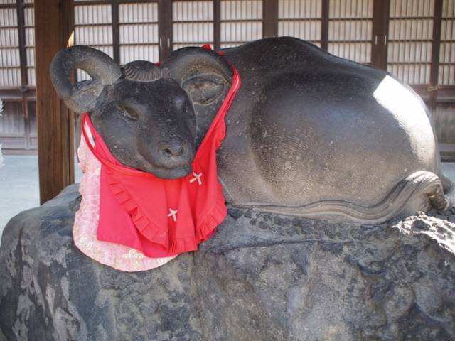 日本春節神社指南 | 來一波祈福神社推薦，新的一年歐氣滿滿～ 旅遊 第20張