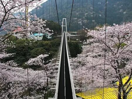 清水港是日本三大美港之一,在富士山及三保松原的环绕之下,景观秀美无