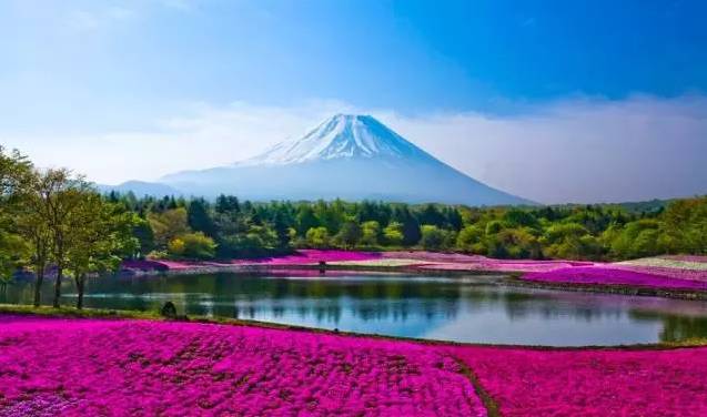 网评日本最美的31个景点,你有几个眼熟的?