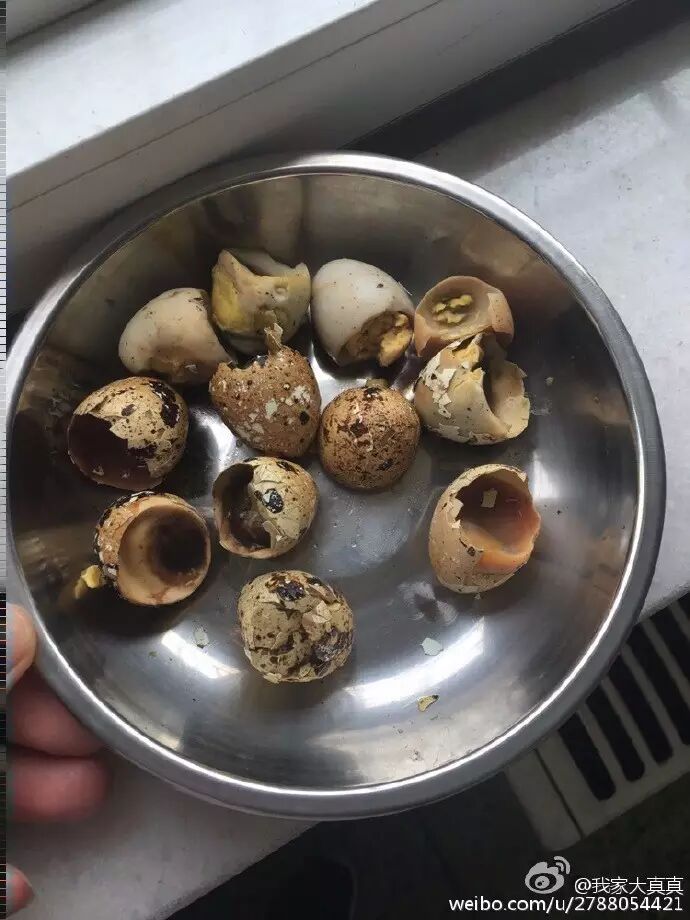 天津幼儿园早餐鹌鹑蛋长蛆园方退费即不担责