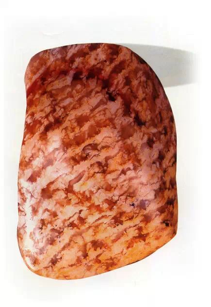 巴林福黄石的二十三个品种