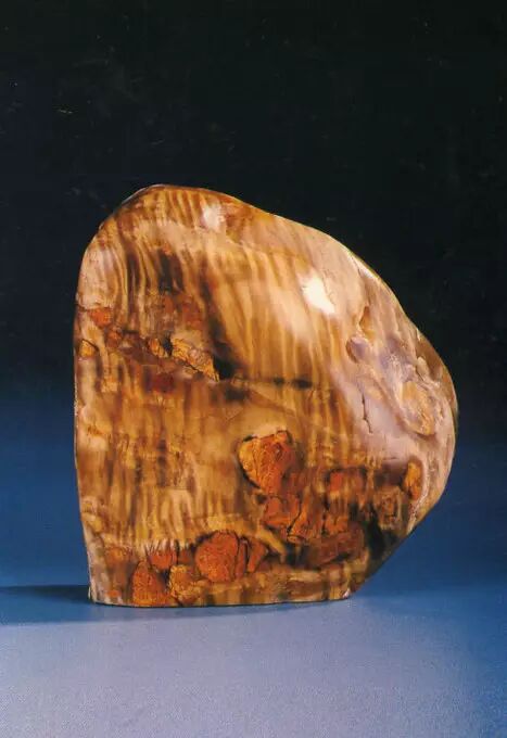 巴林福黄石的二十三个品种