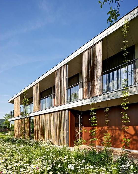 我伙呆丨围观这些潮爆了的竹设计竹屋篇