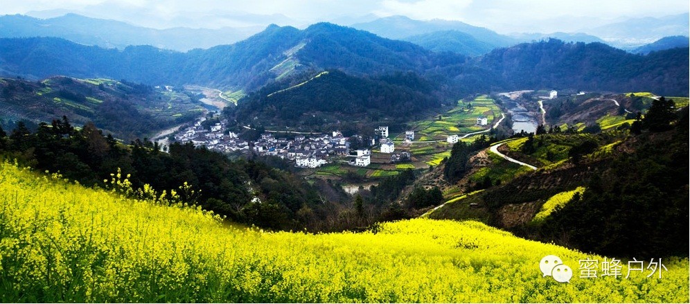 （采蜜活动）3/21新安江、石潭油菜花行摄之旅，找寻春天的记忆[歙县] - 第1页 - 上海 - 8264户外