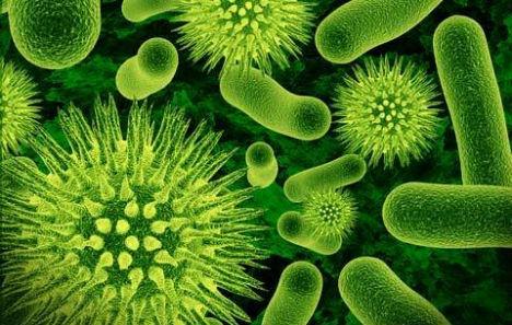 当时科学家们就发现人类许多疾病的发生和微生物菌落的分布直接相关