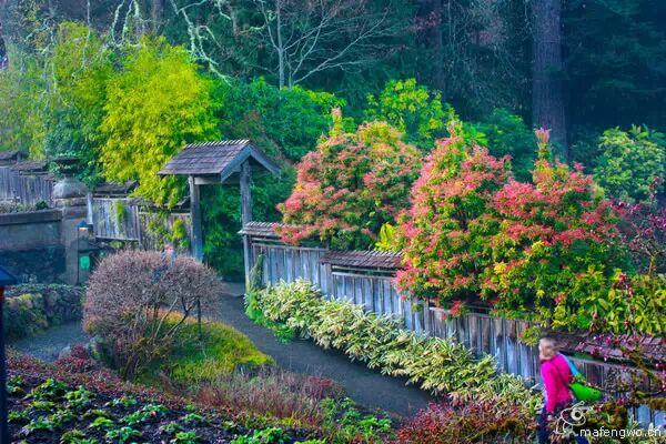 【花园游记】北欧最美的花园-布查德花园