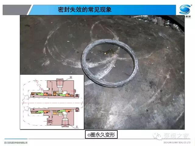 泵機械密封失效分析，內有大量珍貴案例圖片，沉甸甸的知識！！！的圖23
