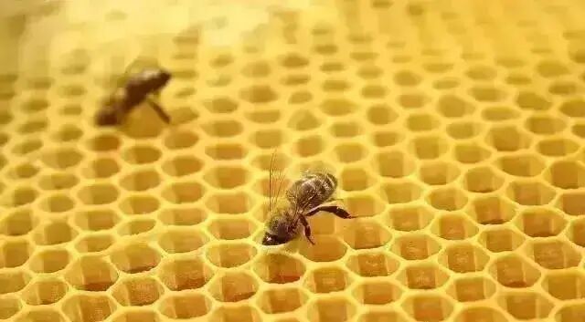 大自然的鬼斧神工——CFD网格那些事儿的图1