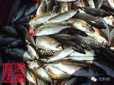 竹莢魚的故事_丸食堂- 微文庫