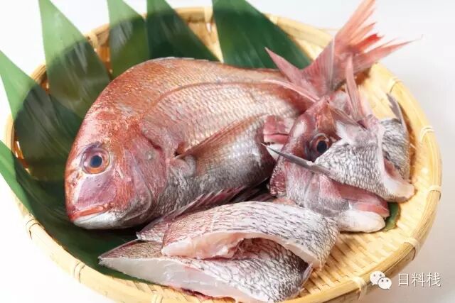 霓虹金的鯛魚情結 二 鯛魚料理 丸食堂 微文庫