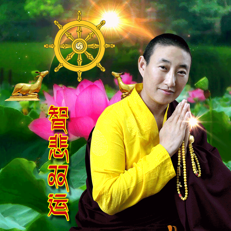 nmc82001319公众号:慈海慧灯微信号:nmc13768501319尼玛措上师法音