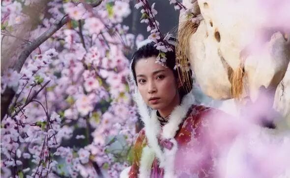 聊斋奇女子如花美眷似水流年