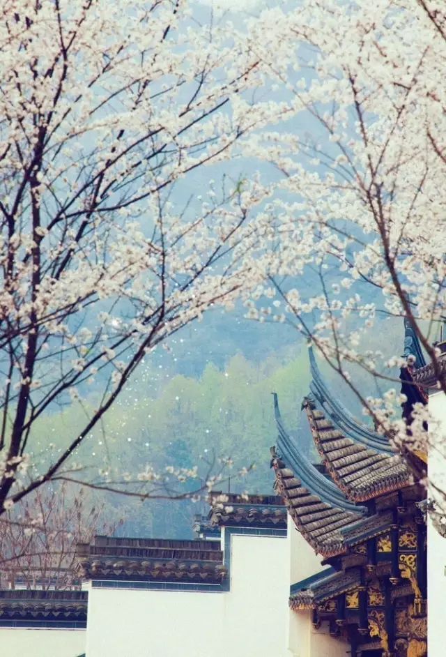 20180122171230_arm8s4q5ri.png?v=1762008261159