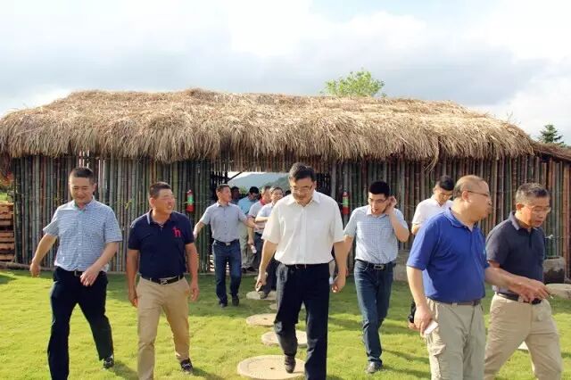 东阳市委书记黄敏深入三单乡调研指导工作