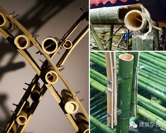 竹子节点连接方式图片