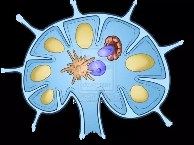 摸到孩子有淋巴结，要不要紧？