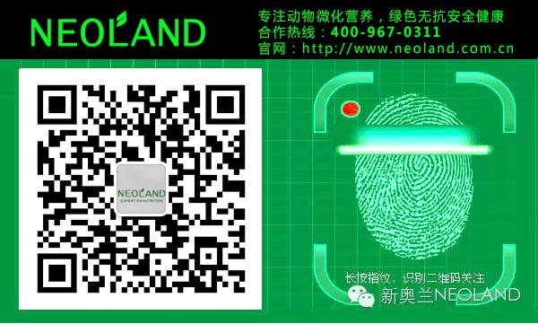 【新奥兰】房子经