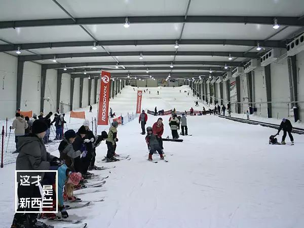生日快樂，奧克蘭！你絕對是南半球最牛X的城市，沒有之一！因為... 旅遊 第99張