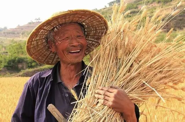 因为你不做农业,所以你不知道!