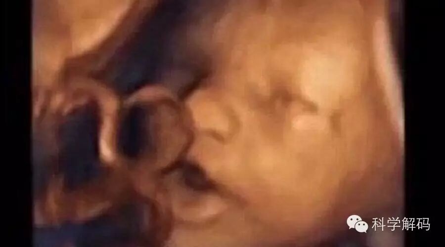 【视频】震惊！胎儿在母亲子宫内“唱歌”