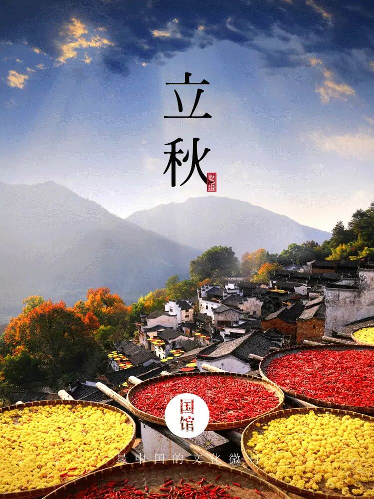 立秋丨睡起秋声无觅处满阶梧桐月明中