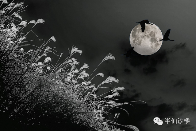 夜黑风高爆小料谈本周嘉兴楼市