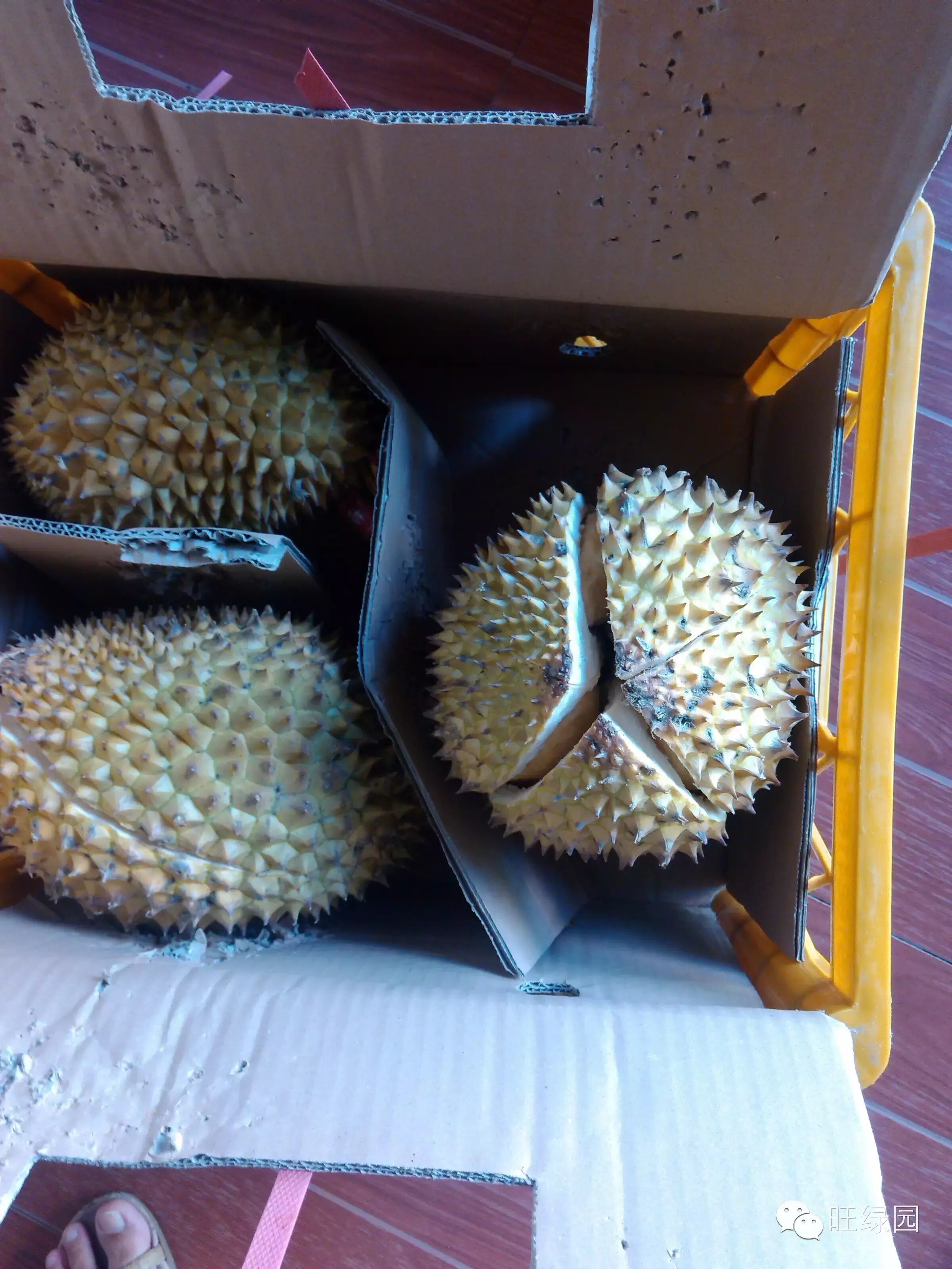 【泰国榴莲预售】新鲜水果水果之王正宗泰国进口榴莲金枕头干荛榴莲