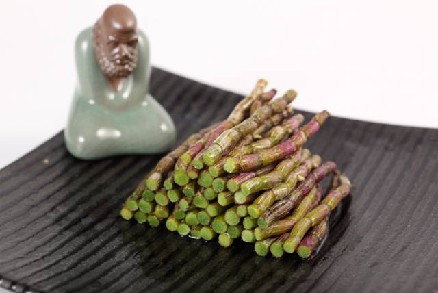 铁皮石斛全面介绍，再也不用到处找了！