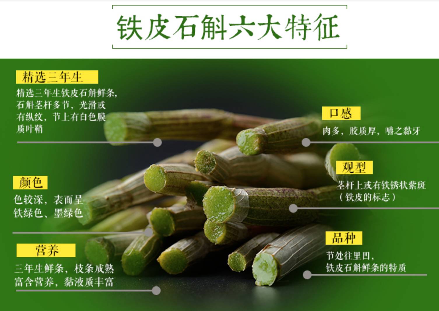 铁皮石斛可以久服吗?众多铁皮石斛问题解答