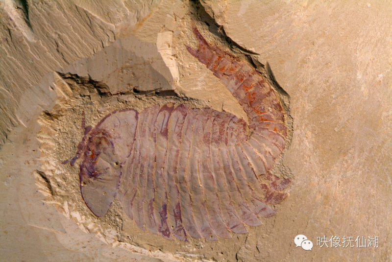 澄江 帽天山国家地址公园