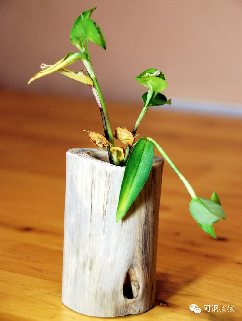 朽木逢春烛台组合