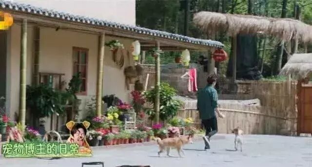 何炅出道23年零绯闻，一度被认为是Gay？最近被曝已隐婚20年？