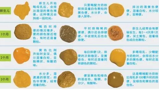 婴幼儿皮肤薄嫩,络脉易于显露,故儿科对于3岁以下小儿常以看指纹作为