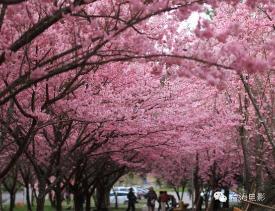我用尽一生去追求完美与智慧_类似用尽一生去爱的文_阿里山在哪里